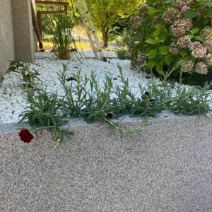 Prodaja, Kuća, Gornja Voća, Gornja Voća, Samostojeća, 78m2