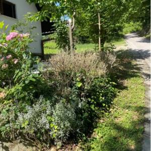 Prodaja, Kuća, Gornja Voća, Gornja Voća, Samostojeća, 78m2