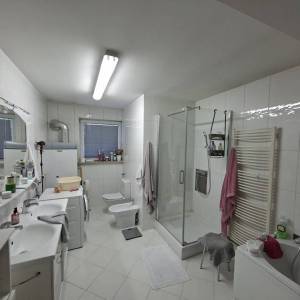 Prodaja, Poslovna zgrada, Biškupec, Biškupec, 745m2