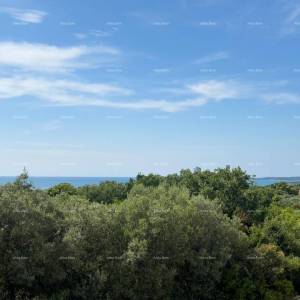 Prodaja stana sa pogledom na more, Peroj!