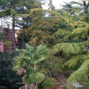 Prodaja stana u centru stare jezgre, Novigrad!