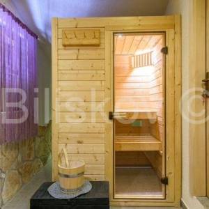 Prodaja,Prostrana kuća s bazenom i saunom kod Šibenika