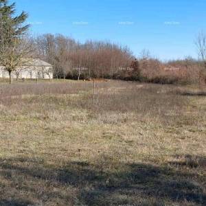 Prodaje se građevinsko zemljište blizu Žminja