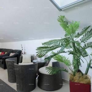 Prodaje se prekrasna vila sa bazenom u Vodnjanu