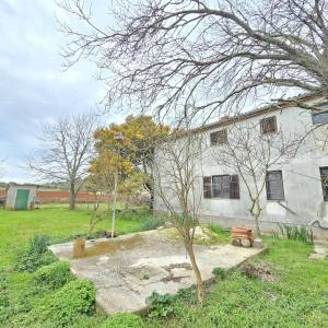 Prostrana kuća u blizini Pule ! Dva stana- 2500 m² zemljišta!