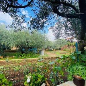 Prostrana kuća u Puli s velikim dvorištem i brojnim mogućnostima