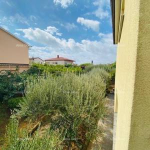 Prostrana kuća u Puli s velikim dvorištem i brojnim mogućnostima