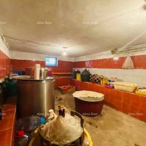 Prostrana kuća u Puli s velikim dvorištem i brojnim mogućnostima