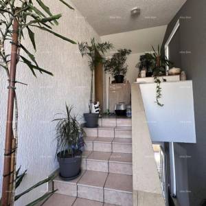 Pula. Objekt s građevinskom dozvolom za zgradu s 4 stana !