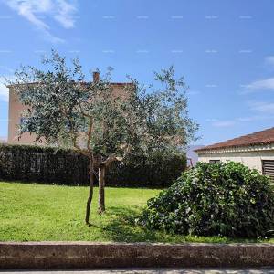 PULA – Škatari, obiteljska samostojeća kuća s velikom okućnicom