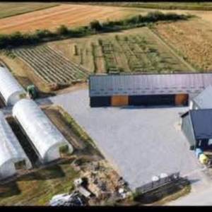 Razljev, Zemljište, 156.000,00 EUR