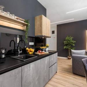 Rijeka centar - Tri jednosobna apartmana, uhodan posao iznajmljivanja