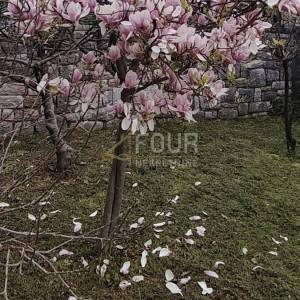 Rijeka, Pehlin, samostojeća kuća - samo kod nas !