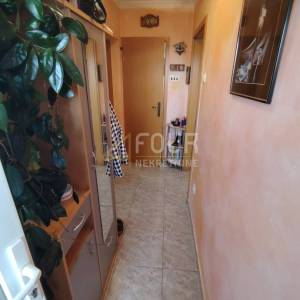 Rijeka, Pehlin, samostojeća kuća - samo kod nas !