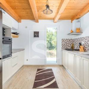 Samostojeća kuća s bazenom i turističkim potencijalom – Žminj