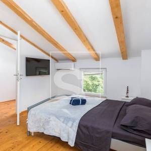 Samostojeća kuća s bazenom i turističkim potencijalom – Žminj