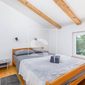 Samostojeća kuća s bazenom i turističkim potencijalom – Žminj