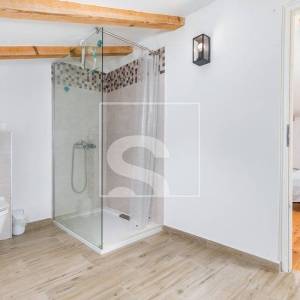 Samostojeća kuća s bazenom i turističkim potencijalom – Žminj