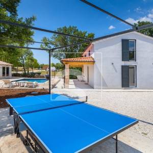 Samostojeća kuća s bazenom i turističkim potencijalom – Žminj