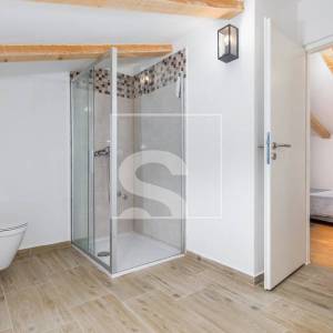 Samostojeća kuća s bazenom i turističkim potencijalom – Žminj