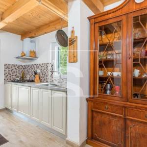 Samostojeća kuća s bazenom i turističkim potencijalom – Žminj