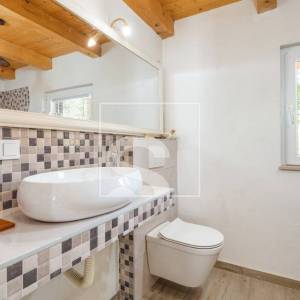 Samostojeća kuća s bazenom i turističkim potencijalom – Žminj