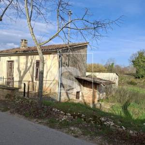 Samostojeća kuća u Vodnjanu