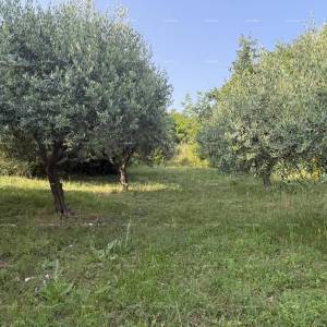 Šarmantna obiteljska kuća s velikom okućnicom i dodatnim građevinskim zemljištem u blizini Barbana
