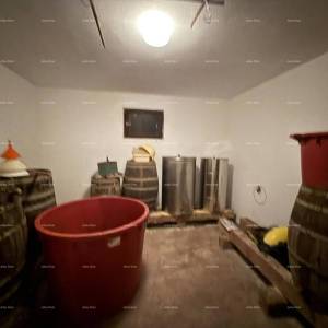 Šarmantna obiteljska kuća s velikom okućnicom i dodatnim građevinskim zemljištem u blizini Barbana