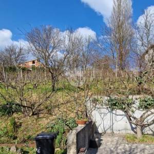 Šenkovec / Sveti Križ, kuća, 130m2 na okućnici 1637 m2