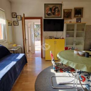 Šenkovec / Sveti Križ, kuća, 130m2 na okućnici 1637 m2