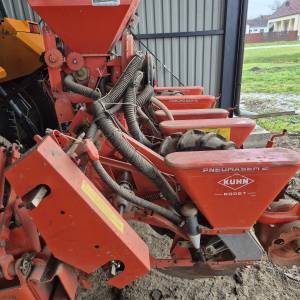 Sijačica Kuhn-Nodet