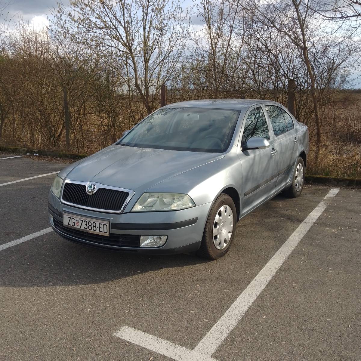 Škoda Octavia II 1.9tdi 252000km
