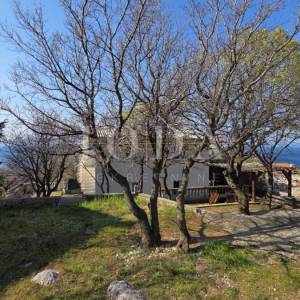 Smokvica Krmpotska kuća s dva apartmana