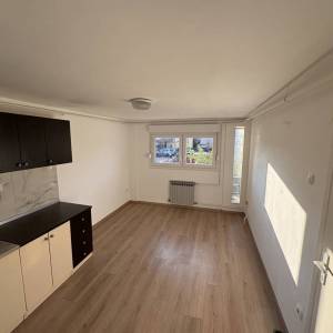 Srebrnjak-2s stan 33m2 s terasom i vrtom