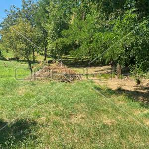 Srednjak , Vrapče, 1.852,00 m2, 259.000,00 EUR