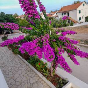 Stan na prvom katu na Zavali