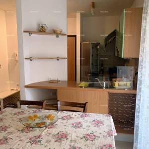 Stan s dvije spavaće sobe - 150m od plaže, Umag!