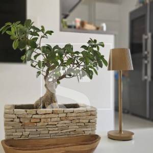 Stan u prizemlju sa velikom terasom