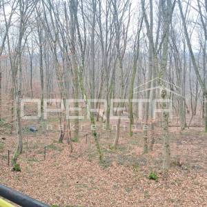 Stara Karlovačka, Pavučnjak, 3.104,00 m2, 155.000,00 EUR