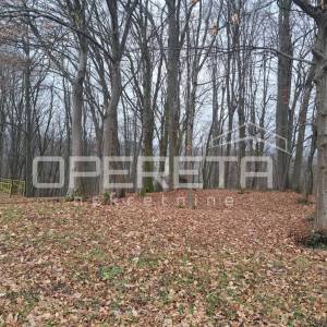 Stara Karlovačka, Pavučnjak, 3.104,00 m2, 155.000,00 EUR