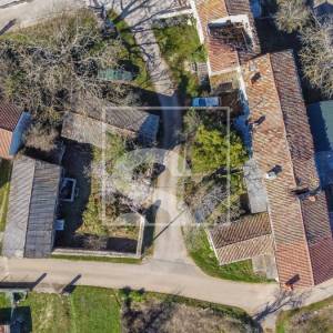 Starina za adaptaciju u srcu sela