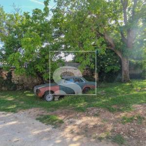 Starina za adaptaciju u srcu sela