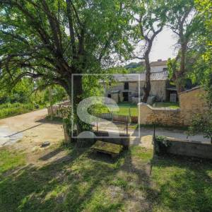 Starina za adaptaciju u srcu sela