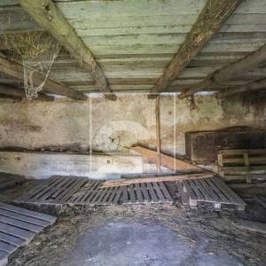 Starina za adaptaciju u srcu sela