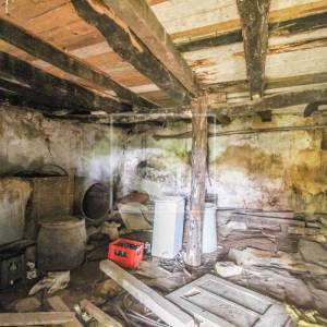 Starina za adaptaciju u srcu sela