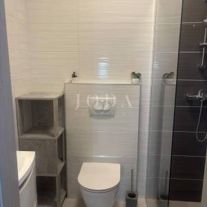 Svetvinčenat, okolica, novouređena kamena kuća sa bazenom