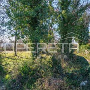 Tar – zemljište za izgradnju stambenih zgrada ili obiteljskih kuća