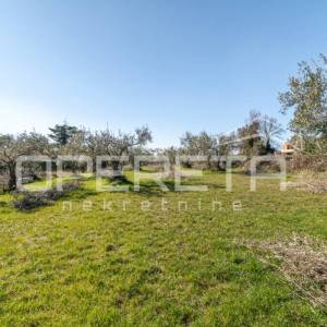 Tar – zemljište za izgradnju stambenih zgrada ili obiteljskih kuća