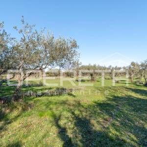 Tar – zemljište za izgradnju stambenih zgrada ili obiteljskih kuća